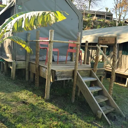 Οργανωμένο κάμπινγκ Safari Glamping Rhino